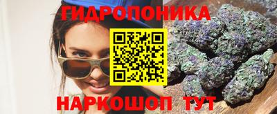 дурь Гусев