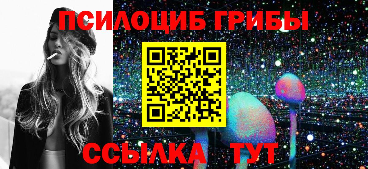 Псилоцибиновые грибы Psilocybe Минусинск