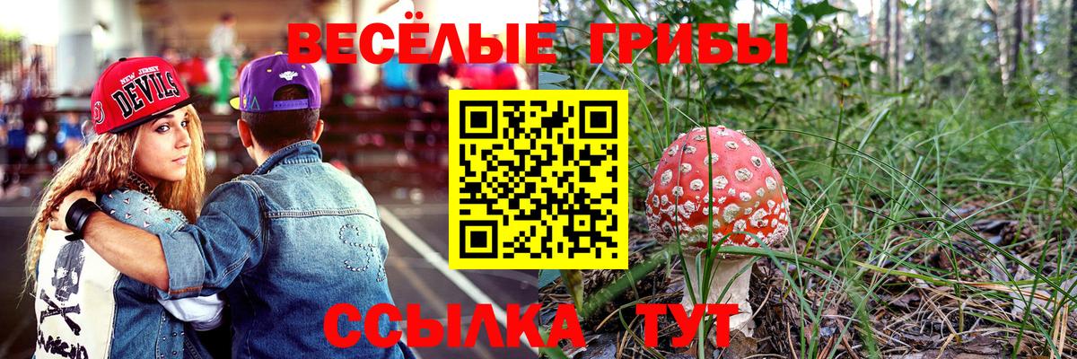 Галлюциногенные грибы мухоморы  сколько стоит  Псилоцибиновые грибы Psilocybe  Минусинск  Вход с VPN 